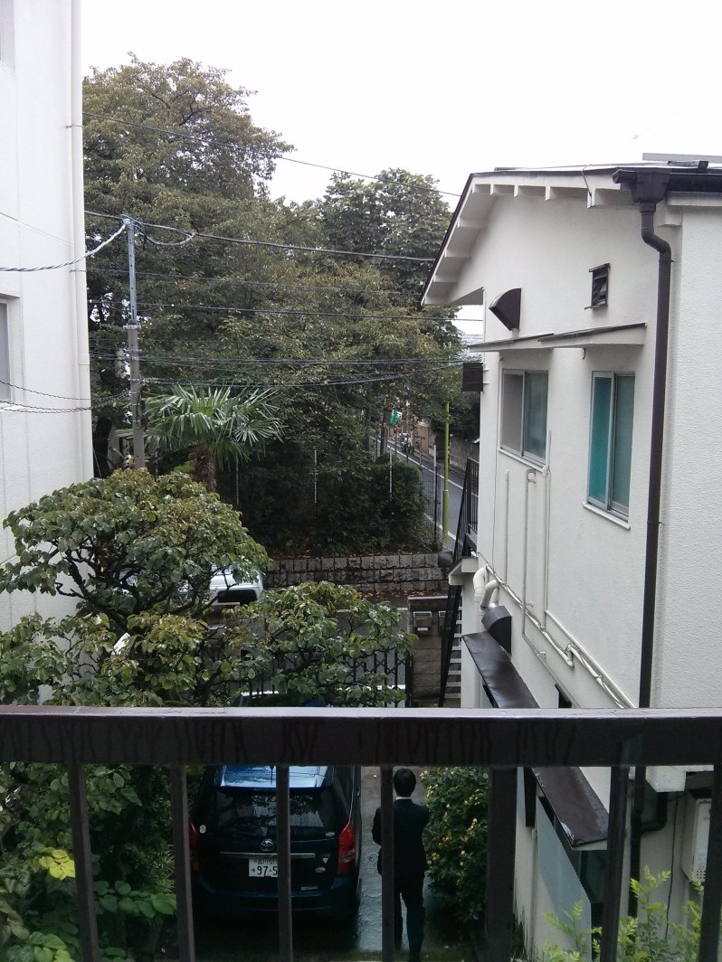 My view - cherry blossoms!