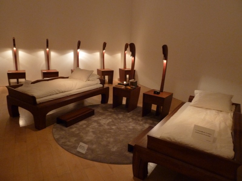 Make a connection? Spend the night in the museum with the artist and see where the conversation takes you.