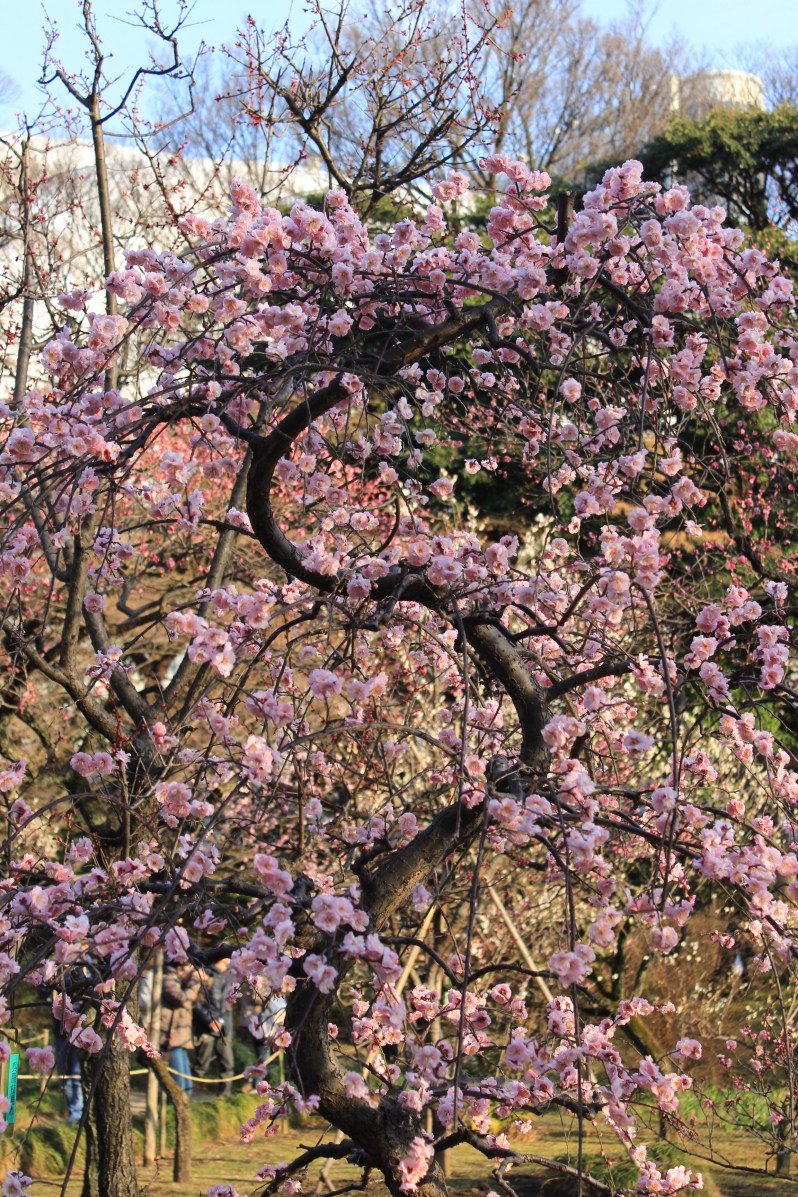 How's this for a crazy shape?