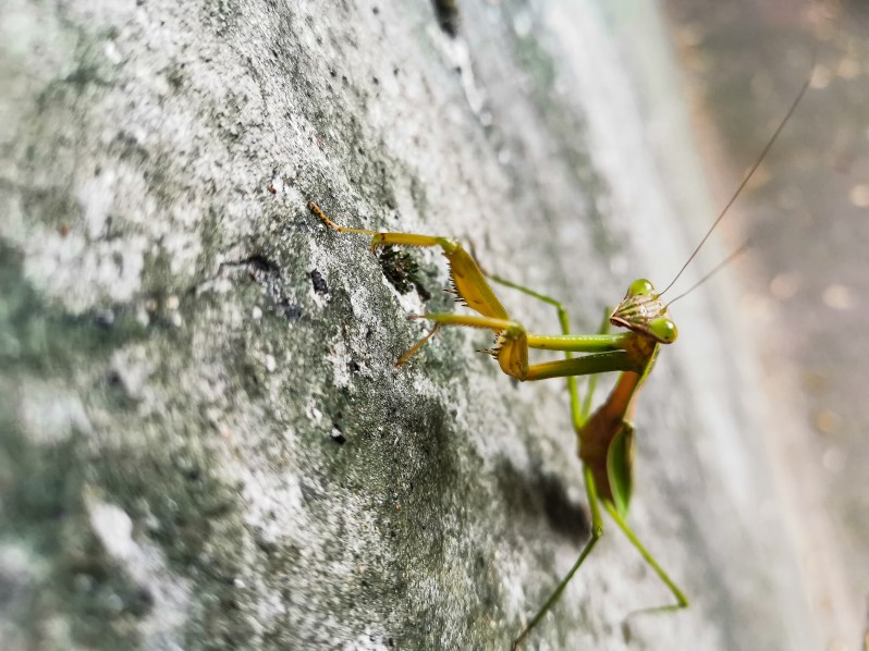 IMG_20191003_083218-2